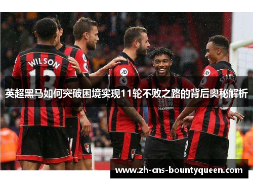 英超黑马如何突破困境实现11轮不败之路的背后奥秘解析 英超黑马如何突破困境实现11轮不败之路的背后奥秘解析