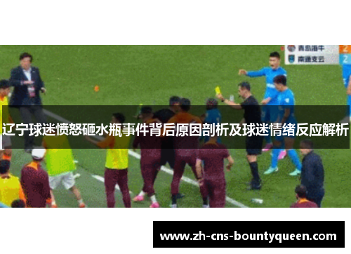 辽宁球迷愤怒砸水瓶事件背后原因剖析及球迷情绪反应解析