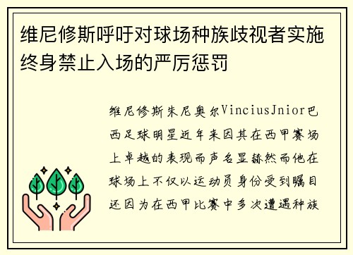 维尼修斯呼吁对球场种族歧视者实施终身禁止入场的严厉惩罚